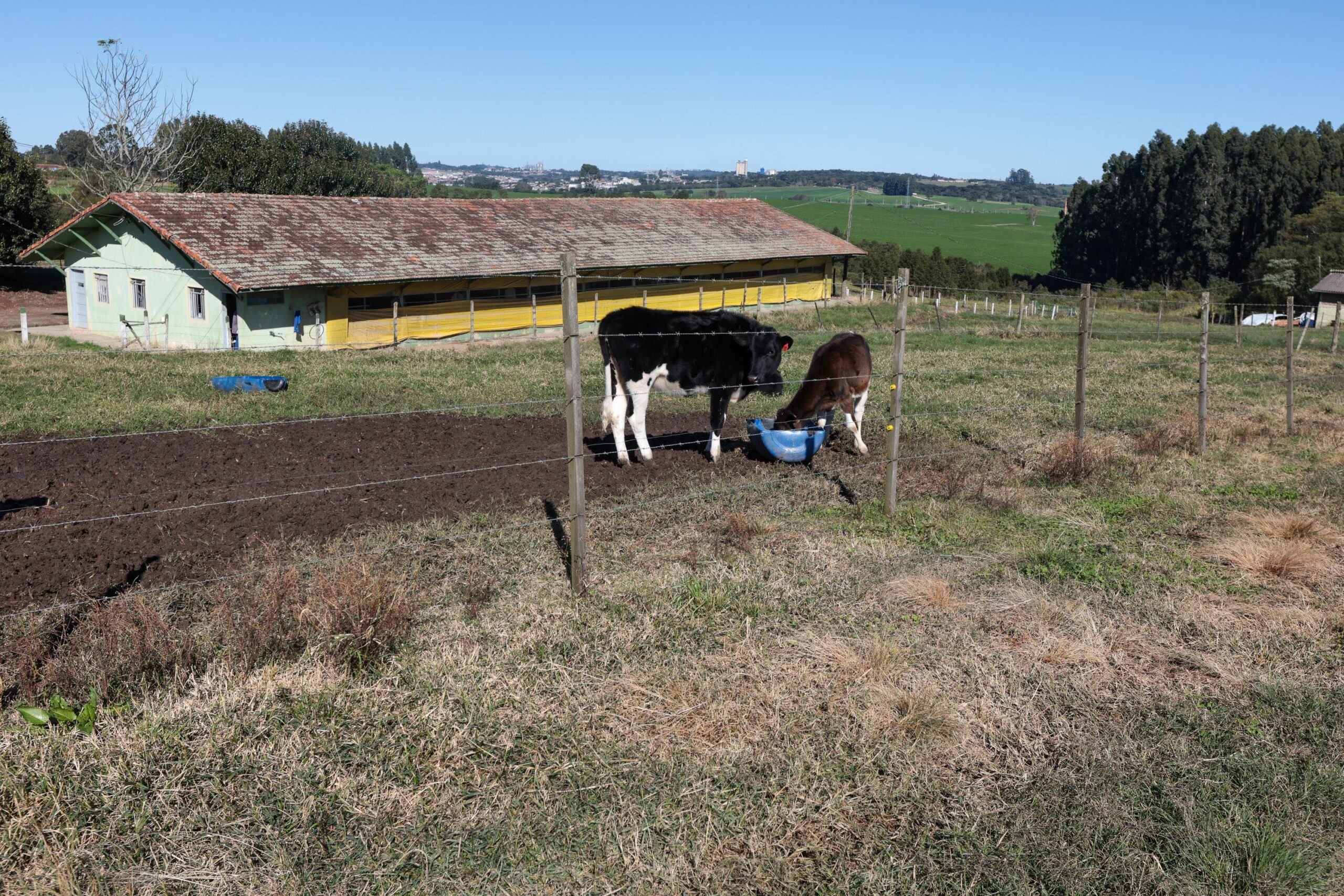 Cooperativa-escola: novo modelo de ensino agrícola transforma educação do Paraná