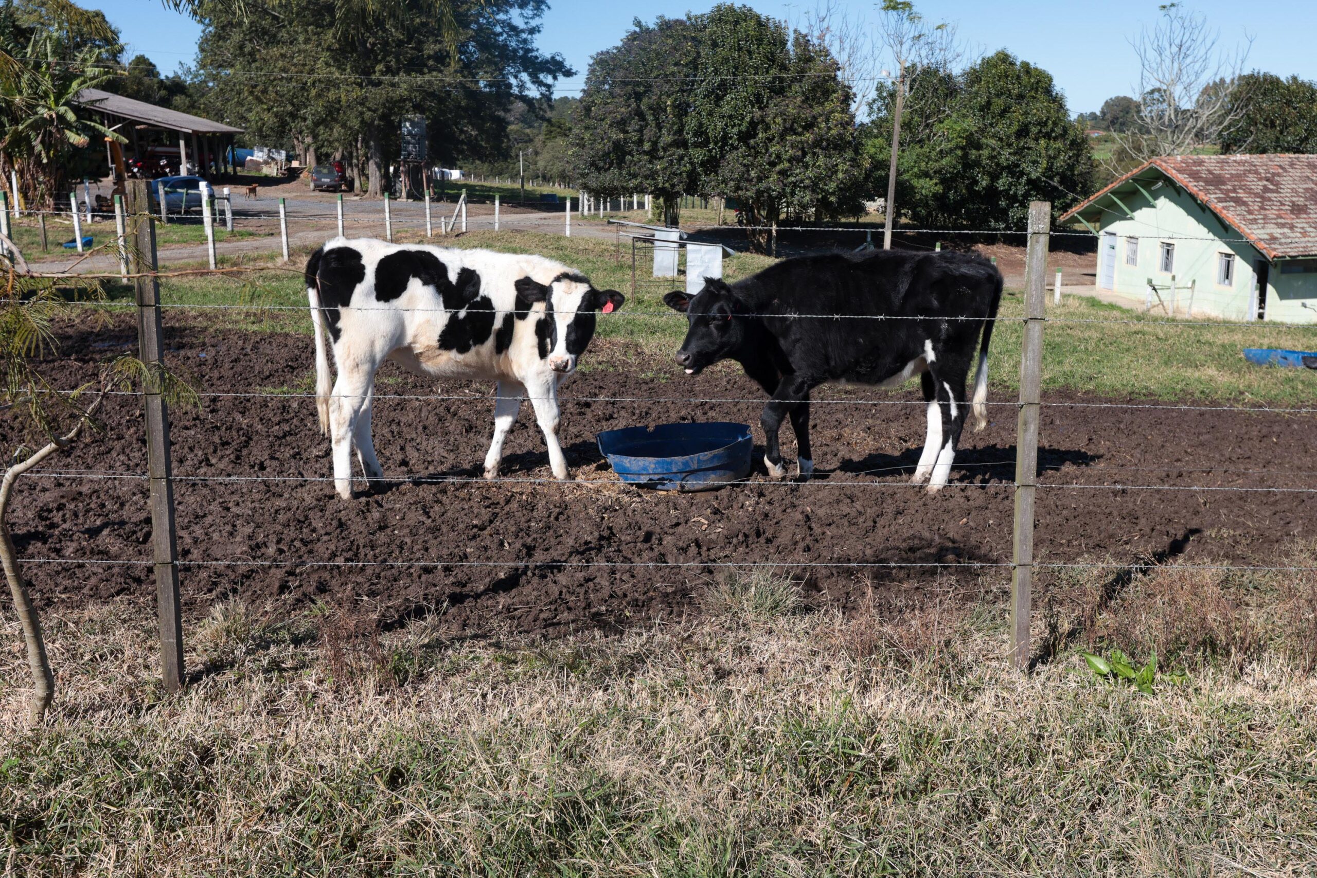 Cooperativa-escola: novo modelo de ensino agrícola transforma educação do Paraná