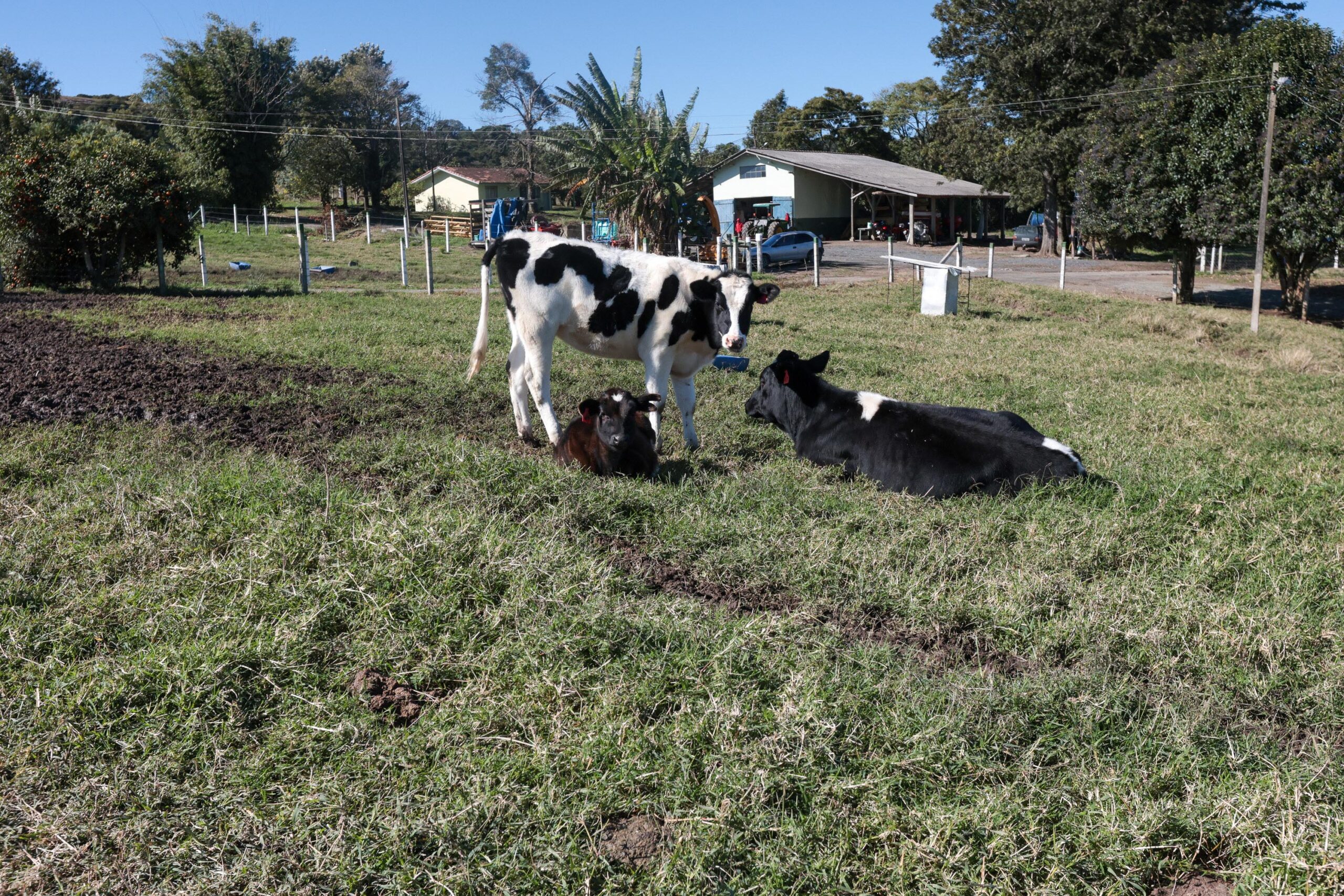 Cooperativa-escola: novo modelo de ensino agrícola transforma educação do Paraná