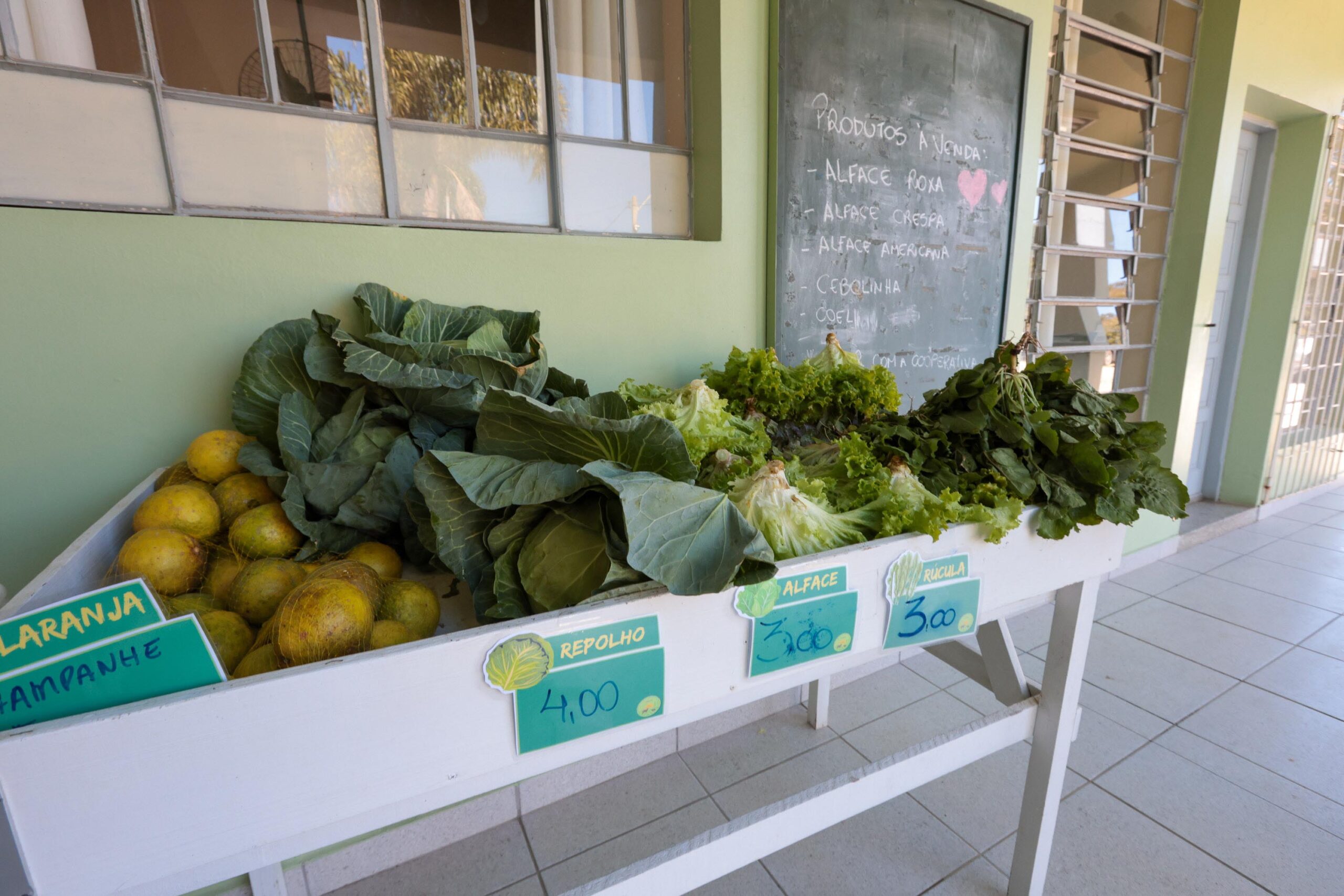 Cooperativa-escola: novo modelo de ensino agrícola transforma educação do Paraná
