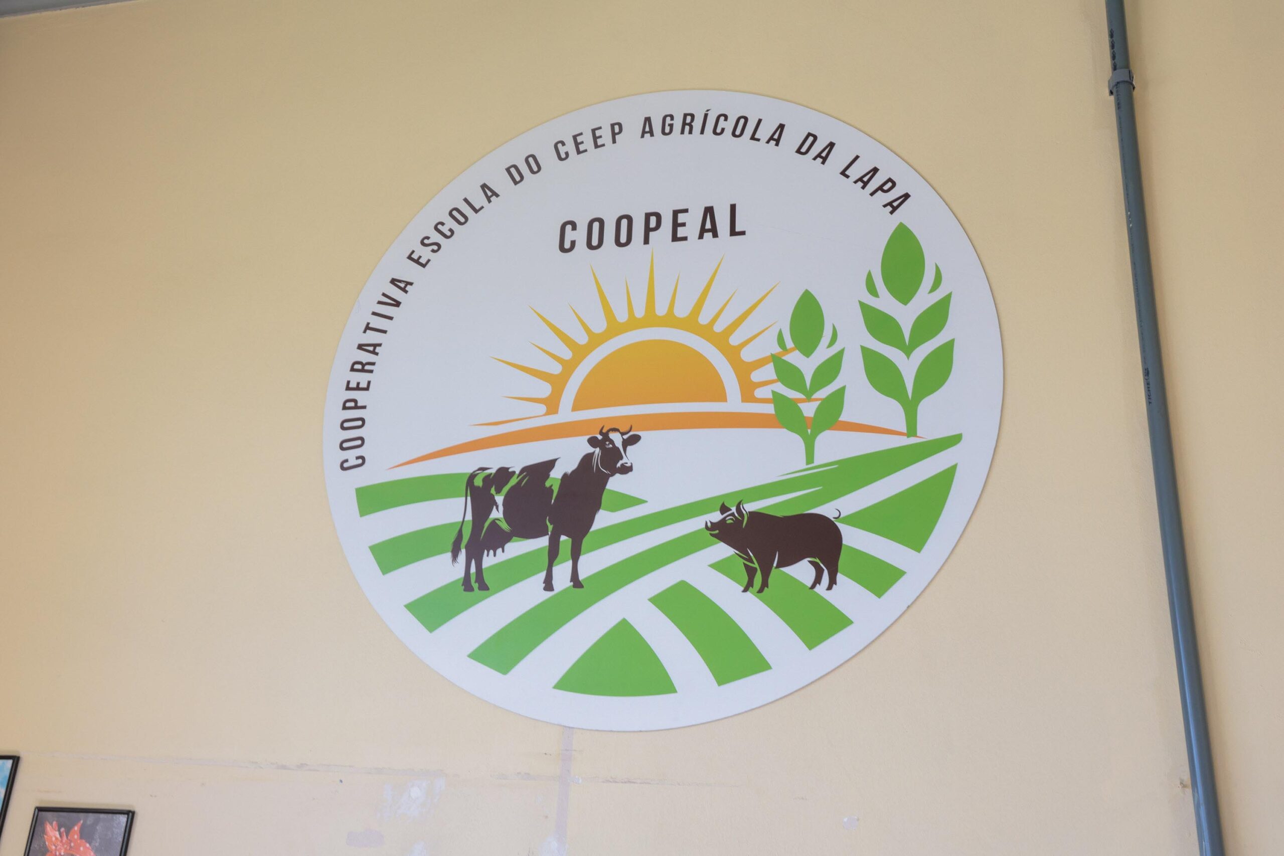 Cooperativa-escola: novo modelo de ensino agrícola transforma educação do Paraná