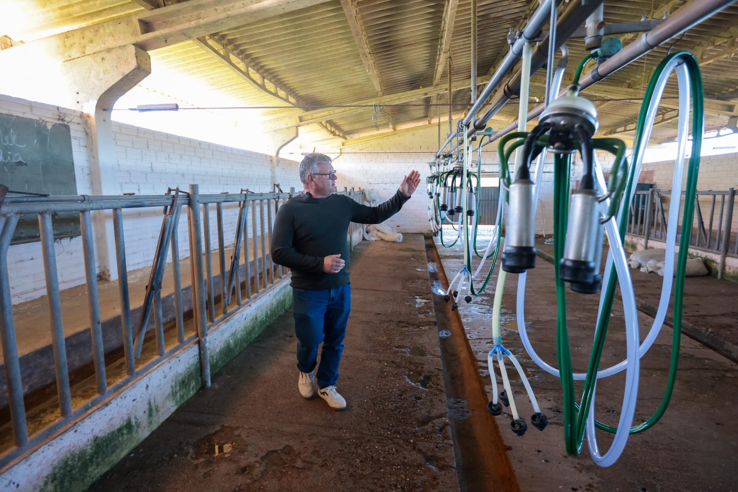 Cooperativa-escola: novo modelo de ensino agrícola transforma educação do Paraná