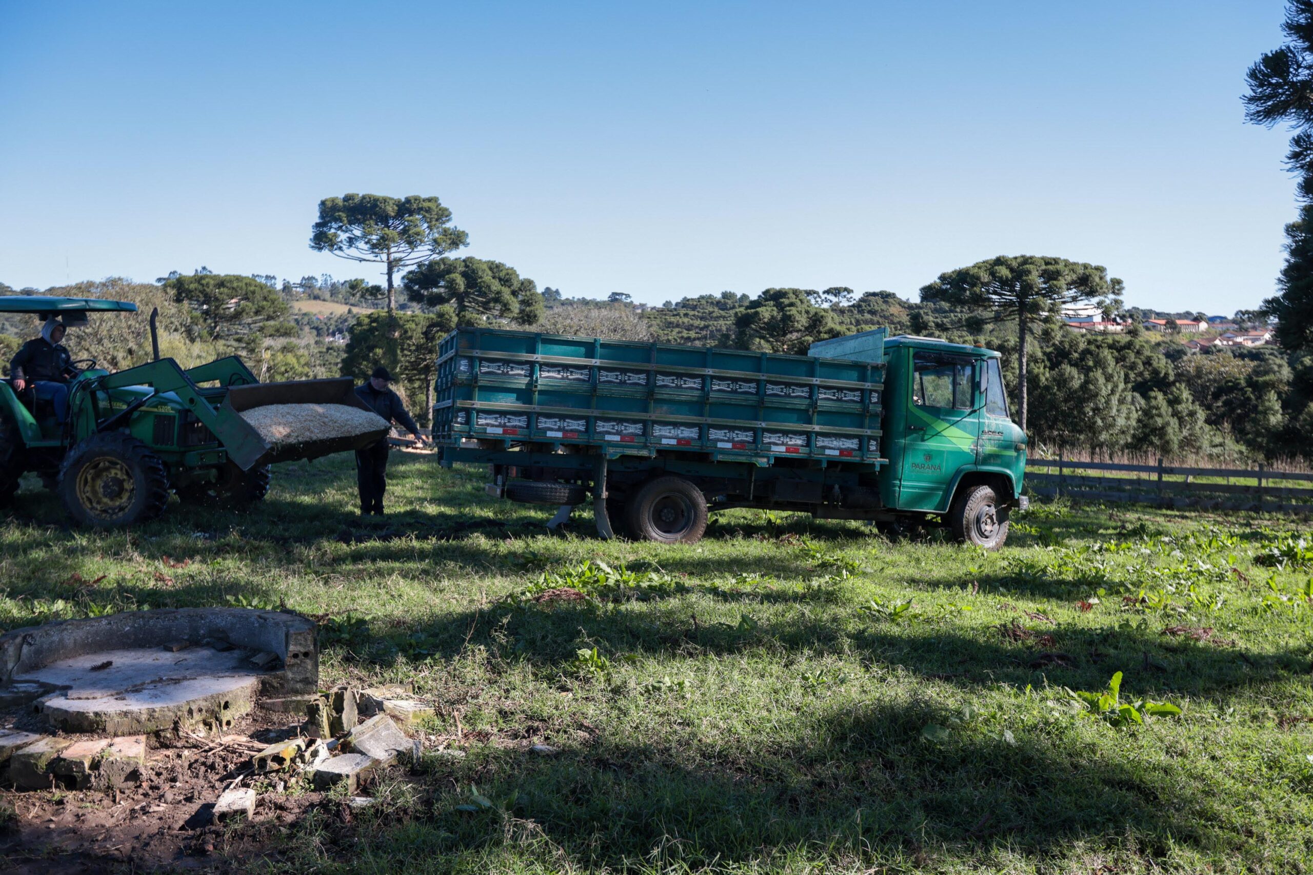 Cooperativa-escola: novo modelo de ensino agrícola transforma educação do Paraná