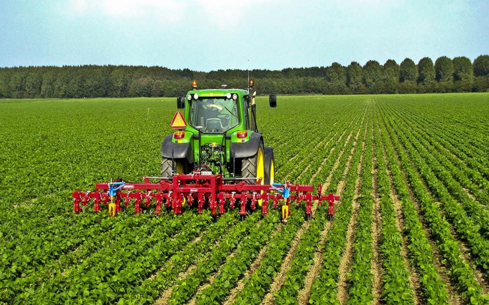 Hoje no campo, insumos essenciais já são o computador e a conectividade. O campo está digitalizado.