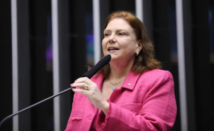 Zeca Ribeiro / Câmara dos Deputados