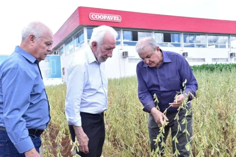 Vice governador falou do avanço produtivo e dos investimentos no estado pensando no paraná do futuro
