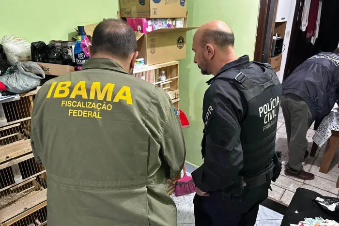 Foto: Reprodução/Secom Paraná