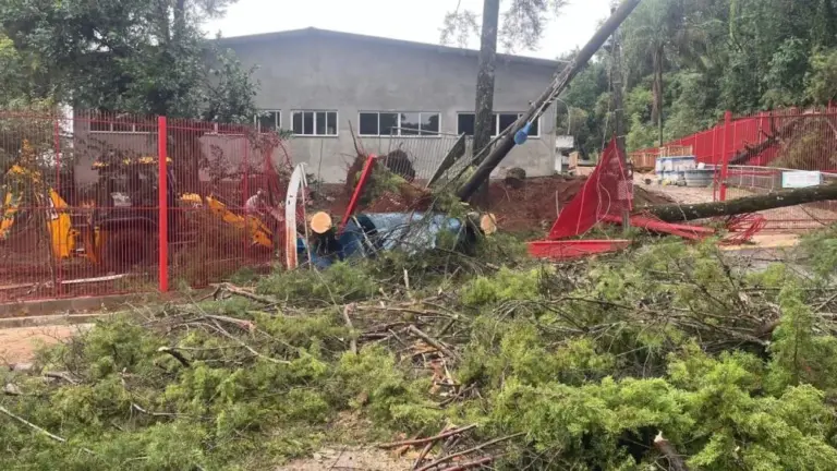 Foto:Reprodução