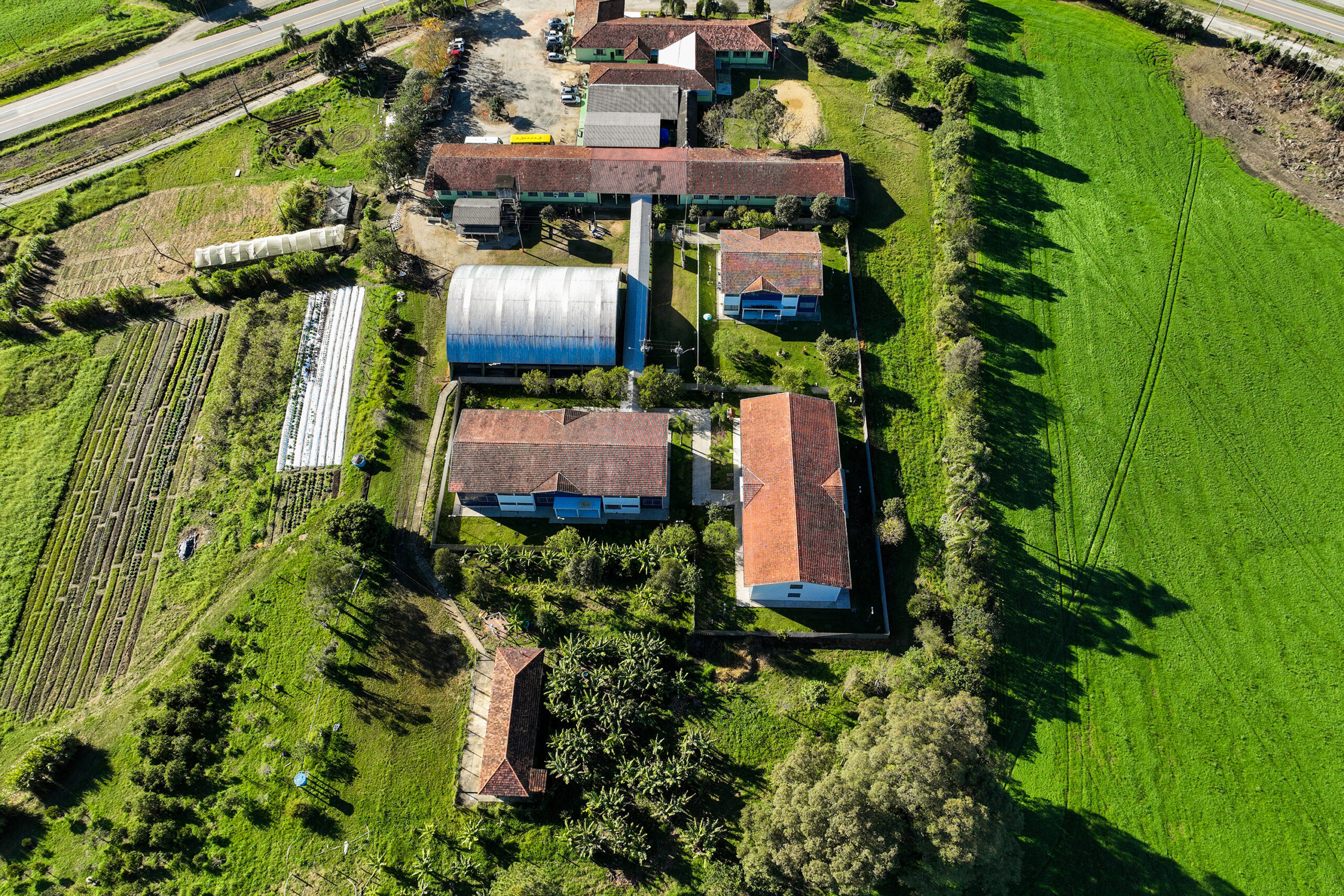 Cooperativa-escola: novo modelo de ensino agrícola transforma educação do Paraná