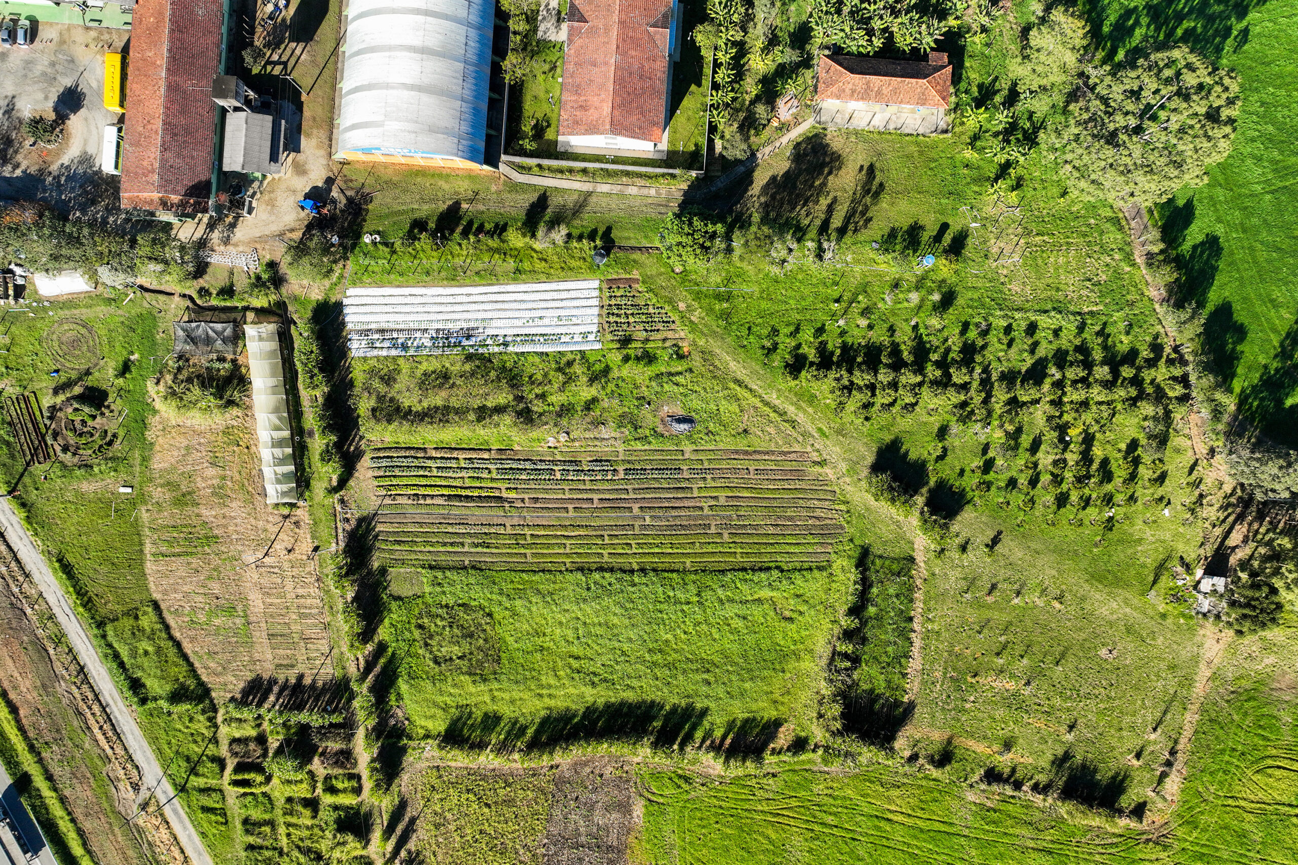Cooperativa-escola: novo modelo de ensino agrícola transforma educação do Paraná