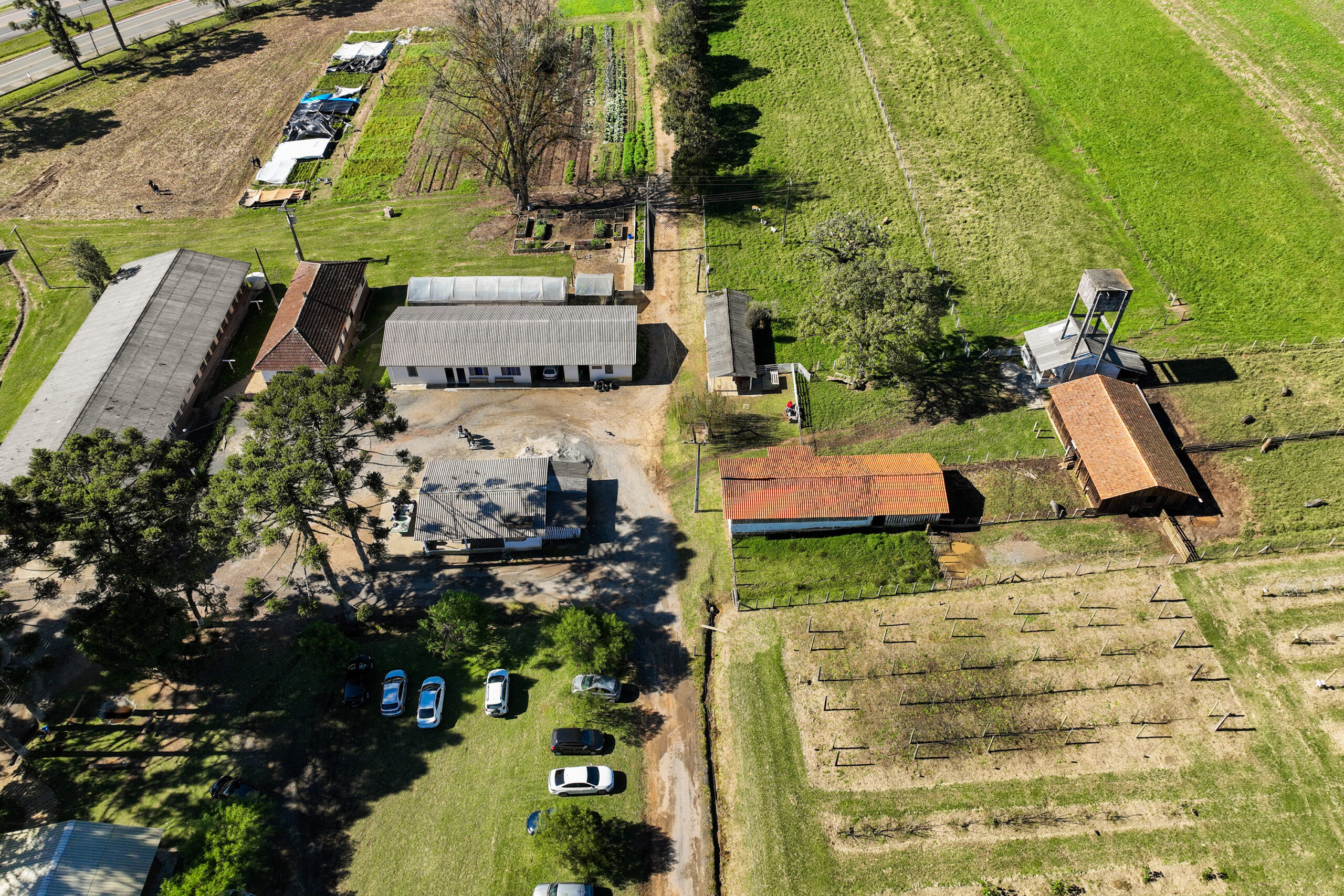 Cooperativa-escola: novo modelo de ensino agrícola transforma educação do Paraná