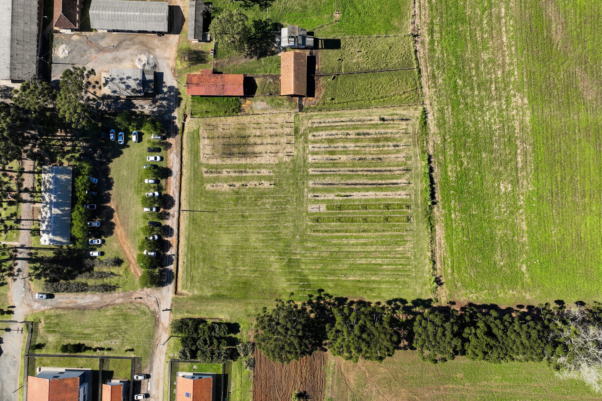Cooperativa-escola: novo modelo de ensino agrícola transforma educação do Paraná