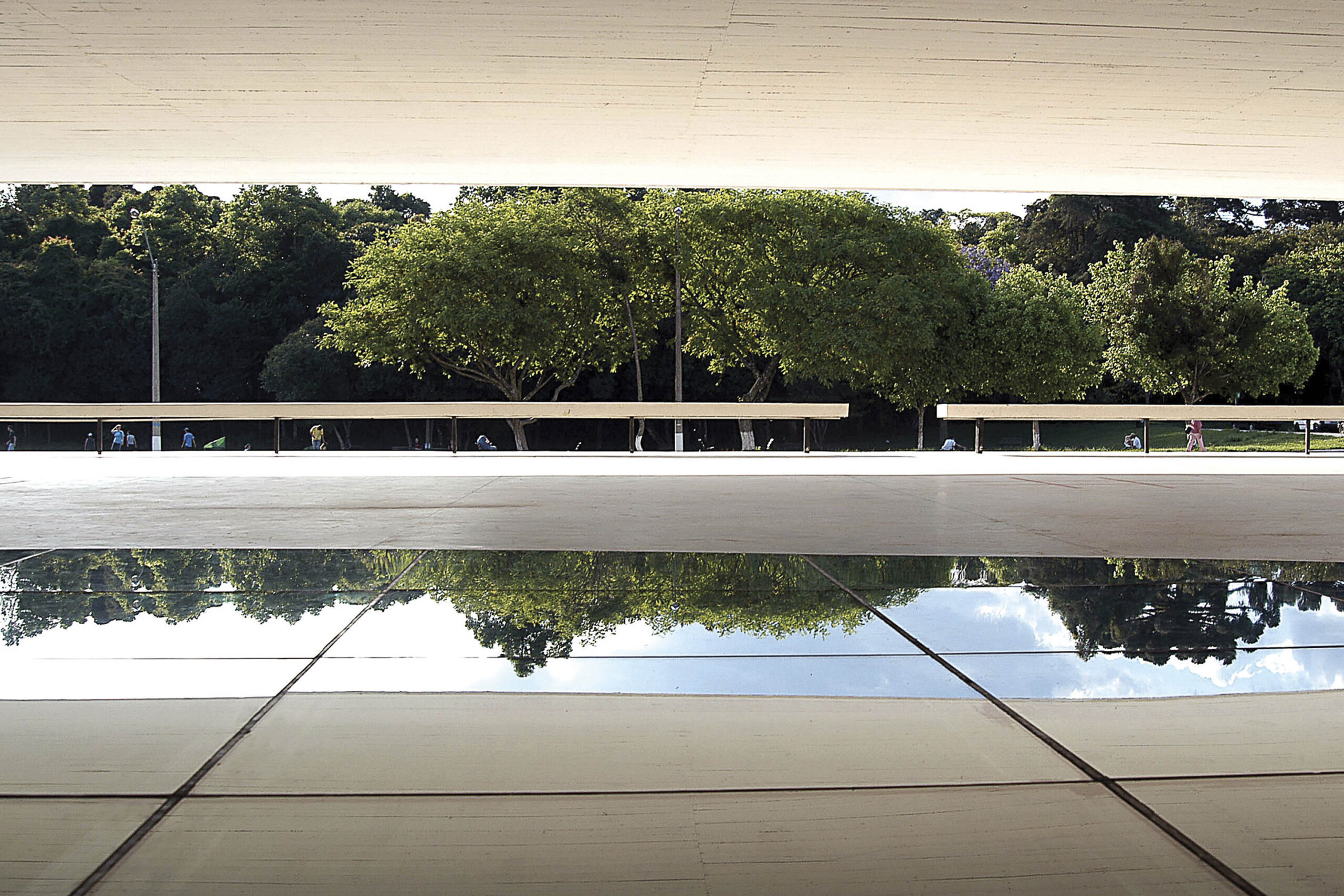 Museu Oscar Niemeyer inaugura exposição da artista Teca Sandrini em 3 de julho