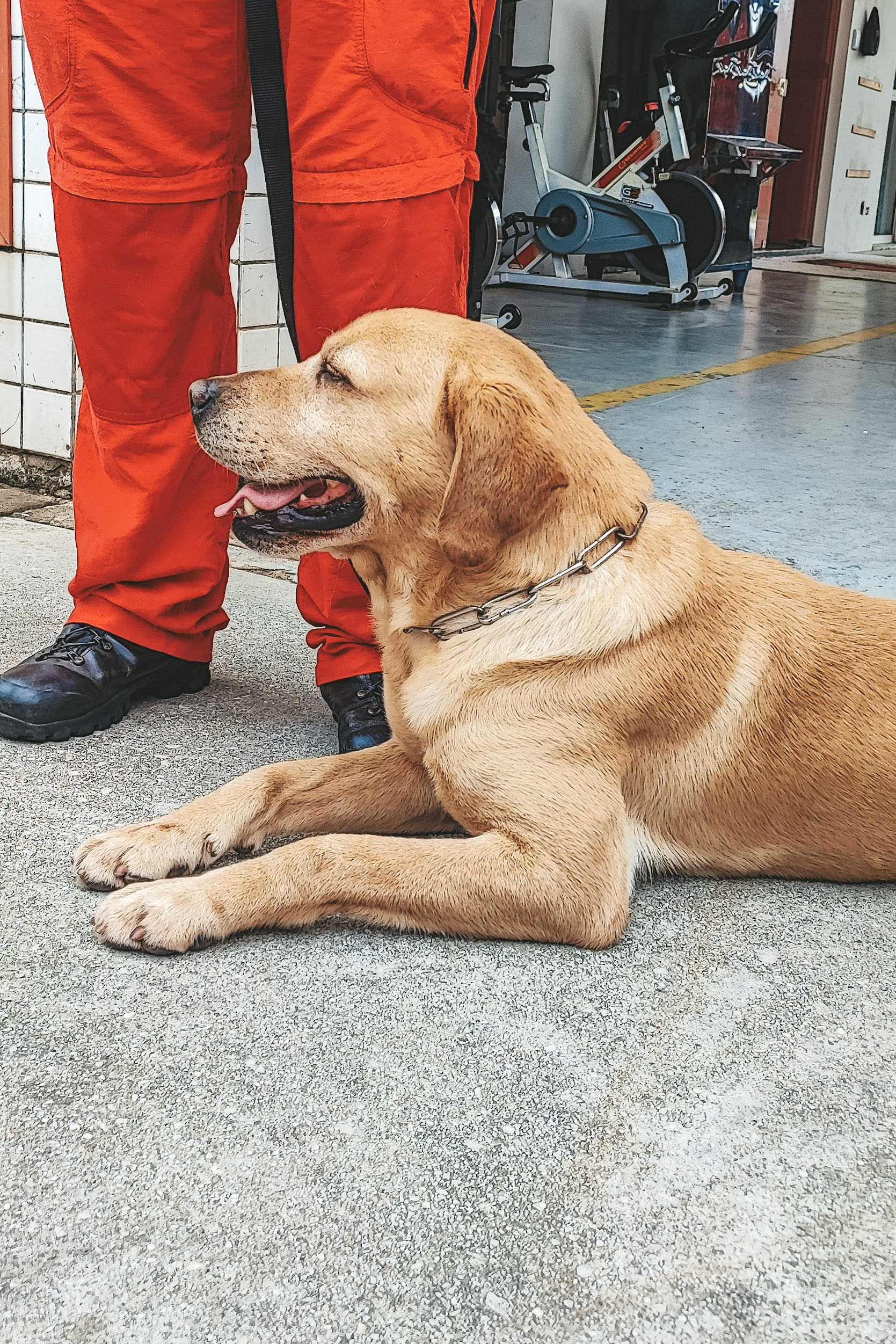Bombeiros do Paraná seguem padrões internacionais de resposta imediata a desastres