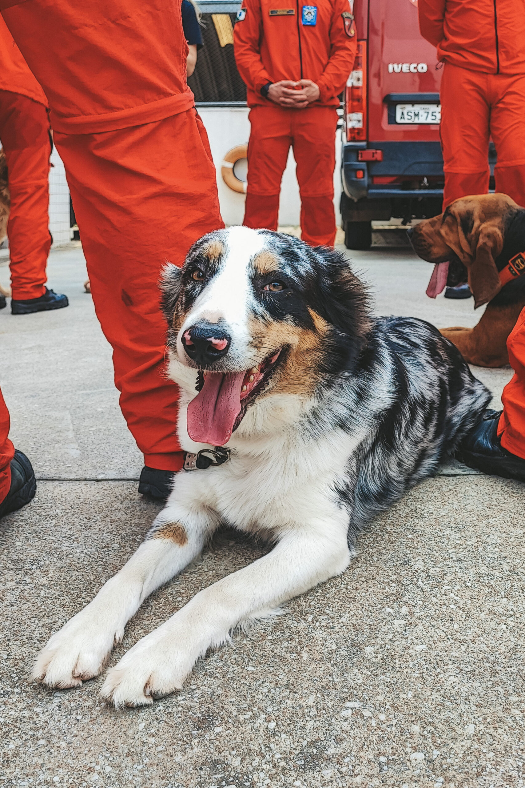 Bombeiros do Paraná seguem padrões internacionais de resposta imediata a desastres