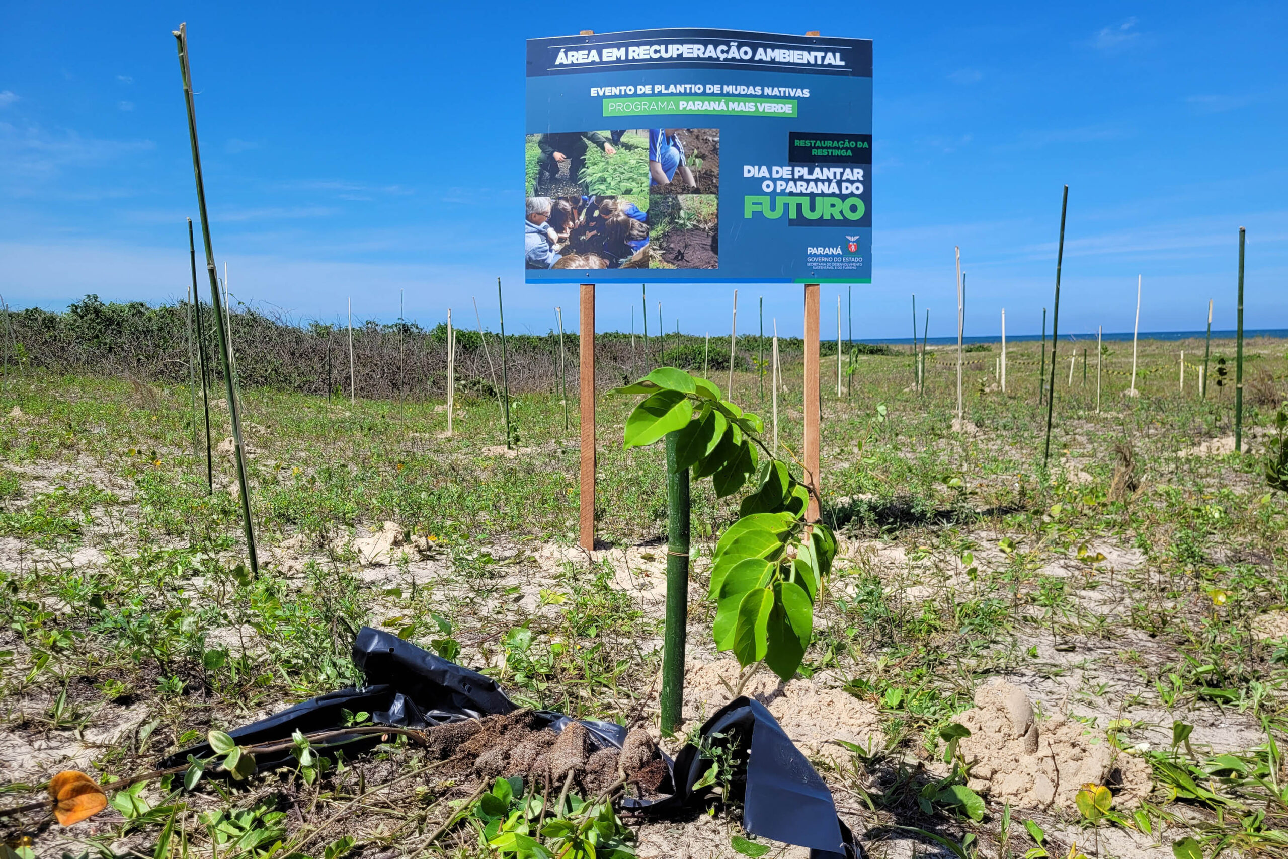 IAT estabelece parceria com a UFPR Litoral para projeto de conservação da restinga