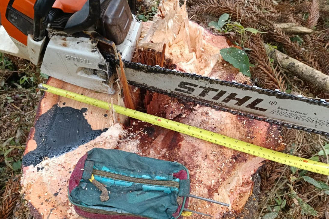 Operação de combate ao desmatamento em 12 cidades aplica R$ 4,6 milhões em multas