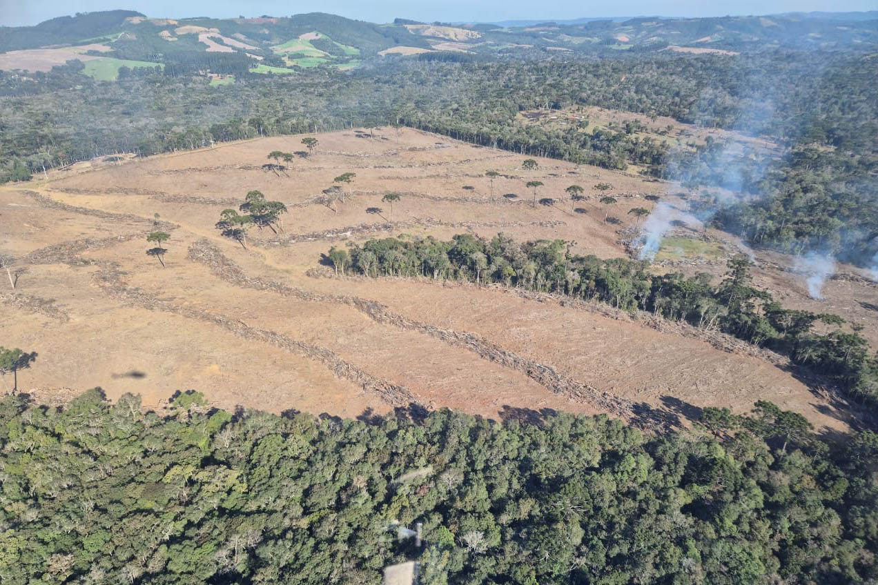 Operação de combate ao desmatamento em 12 cidades aplica R$ 4,6 milhões em multas