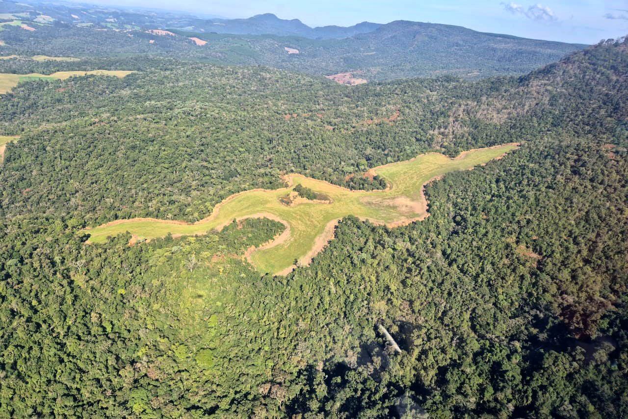 Operação de combate ao desmatamento em 12 cidades aplica R$ 4,6 milhões em multas