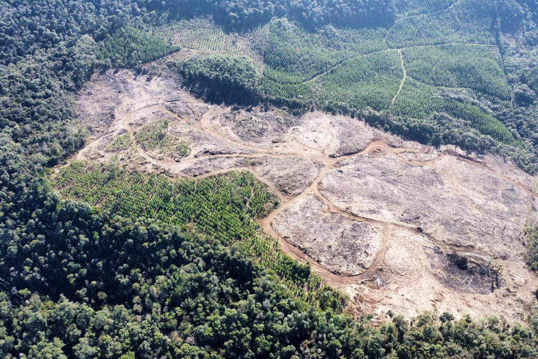 Operação de combate ao desmatamento em 12 cidades aplica R$ 4,6 milhões em multas