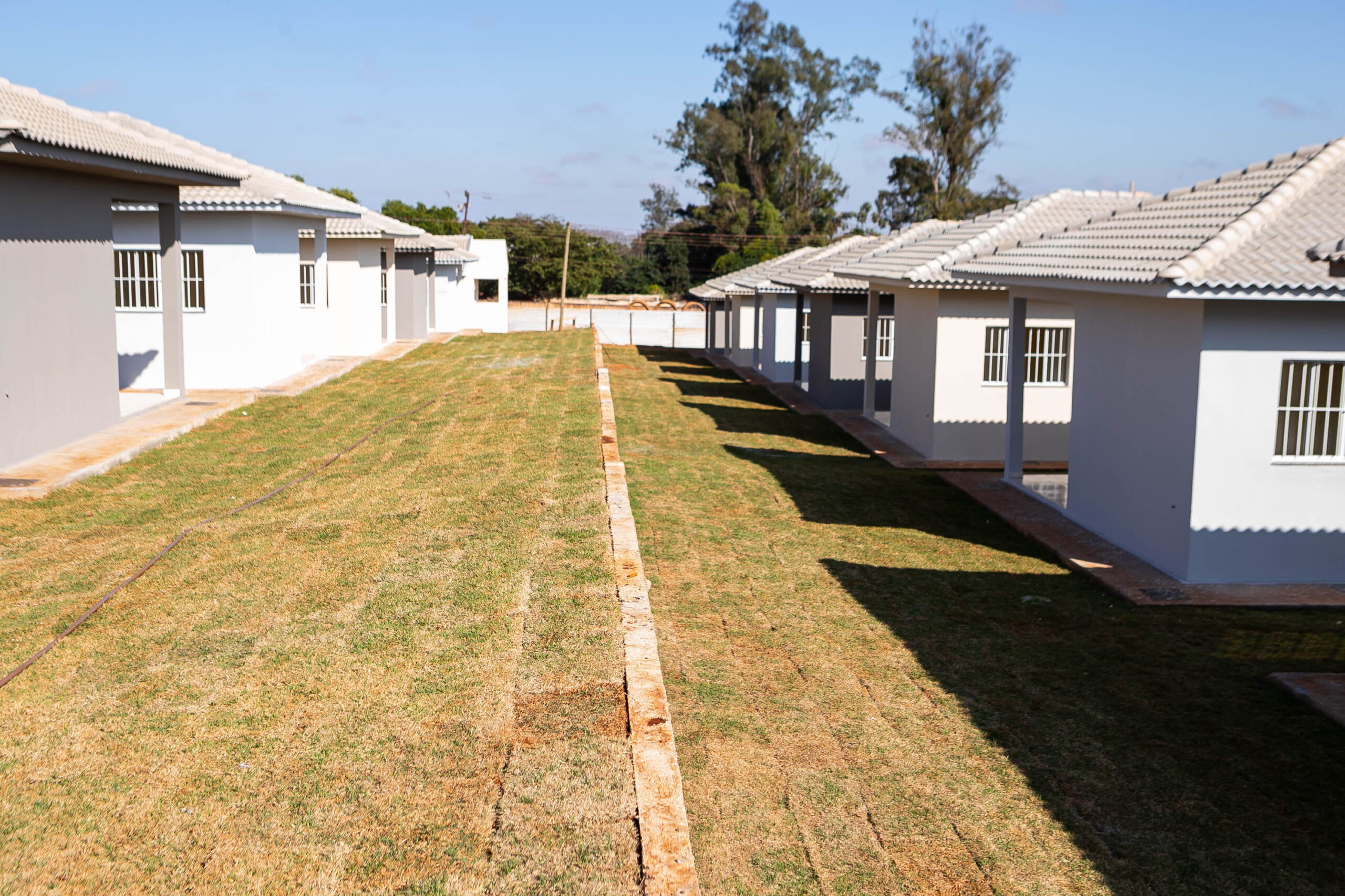 Casa Fácil: governador entrega residencial com 84 moradias em Paiçandu