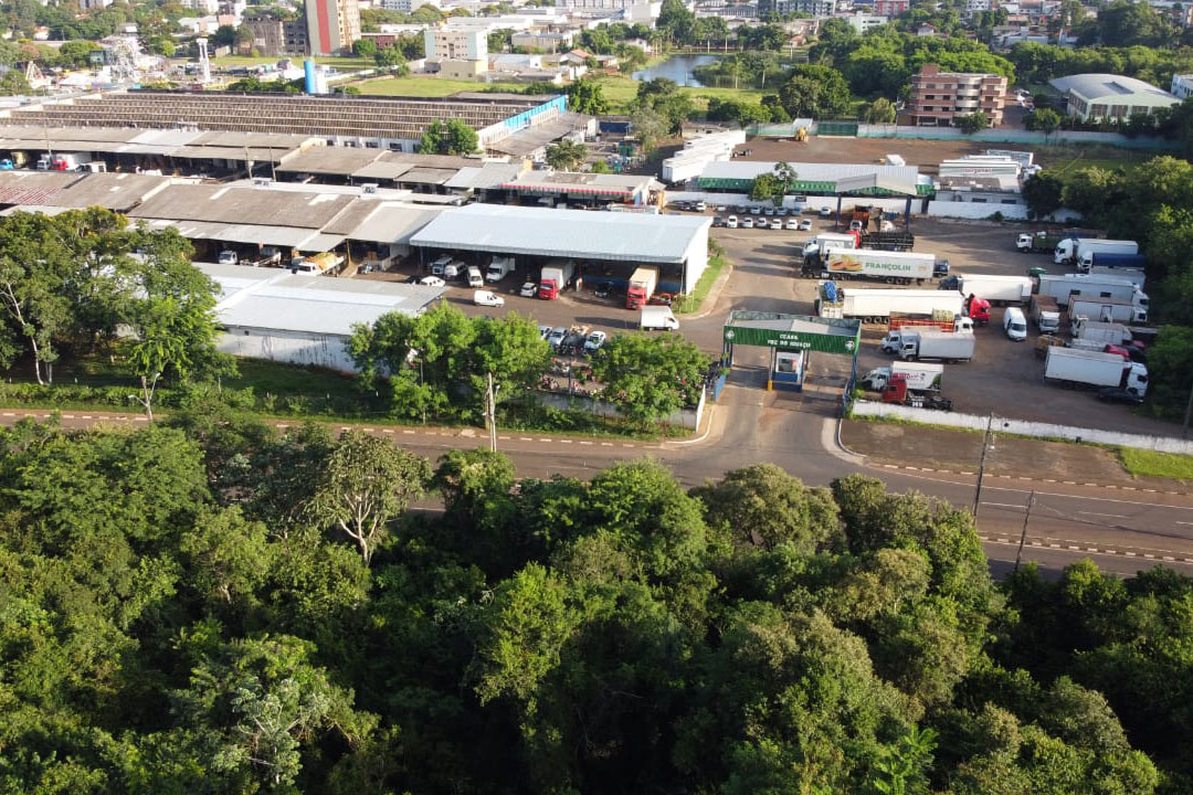 Quinze lotes leiloados na Ceasa de Foz do Iguaçu são arrematados por R$ 625 mil