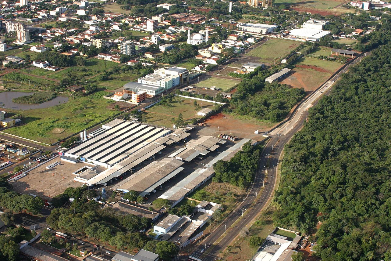 Quinze lotes leiloados na Ceasa de Foz do Iguaçu são arrematados por R$ 625 mil