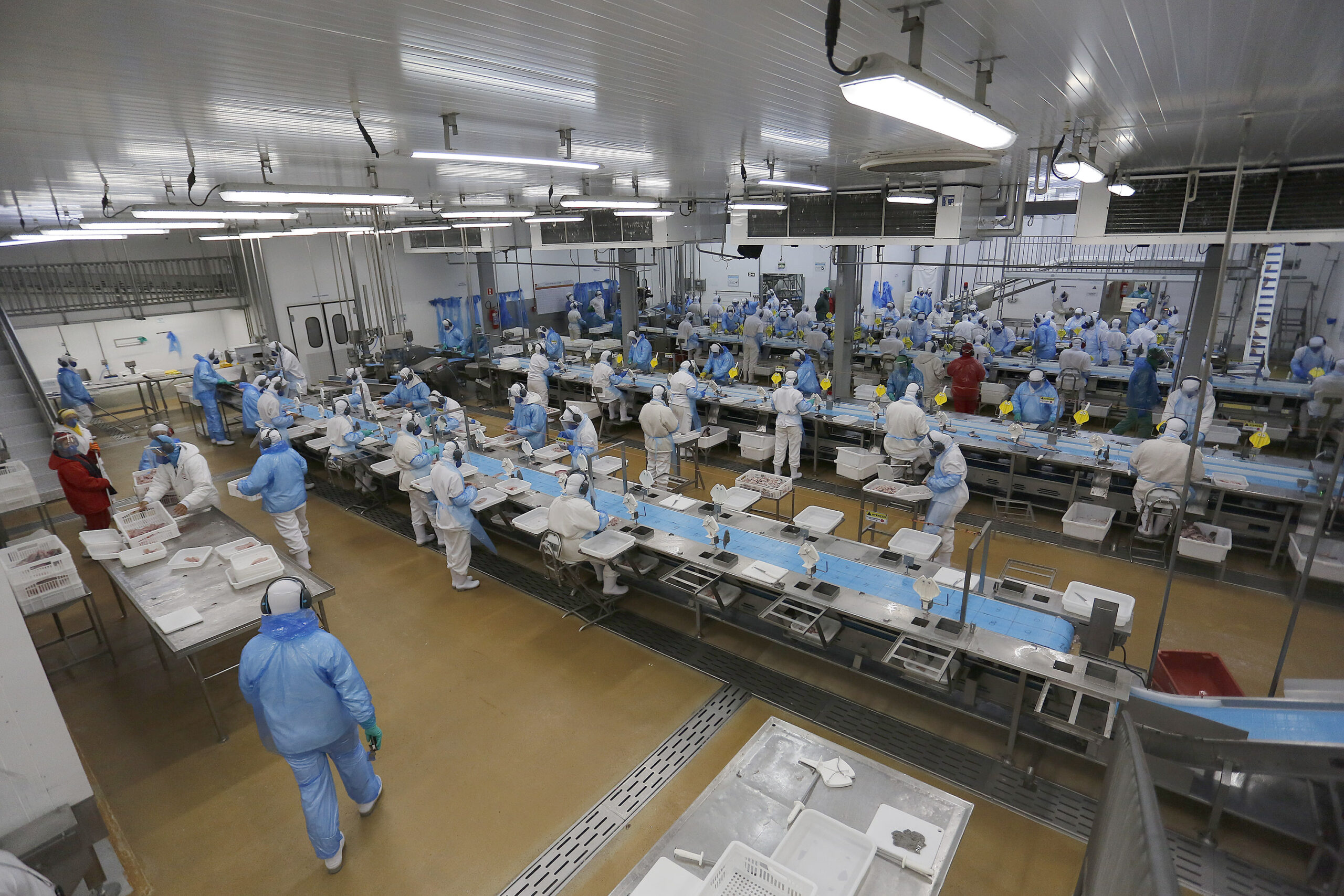 Economia paranaense em alta: Agências do Trabalhador têm 21 mil vagas abertas