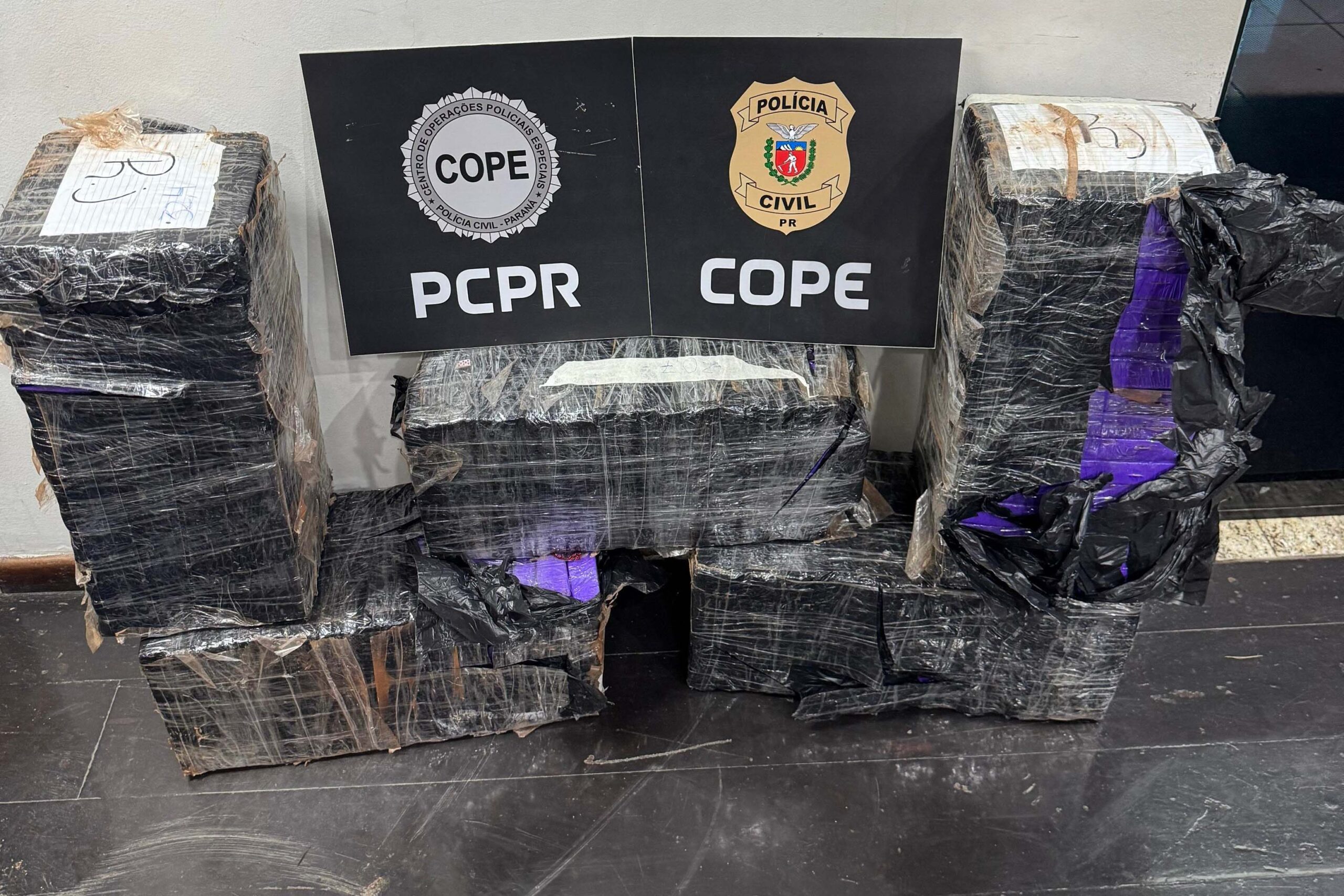 Após trabalho de inteligência, PCPR prende homem com 150 quilos de maconha na BR-277