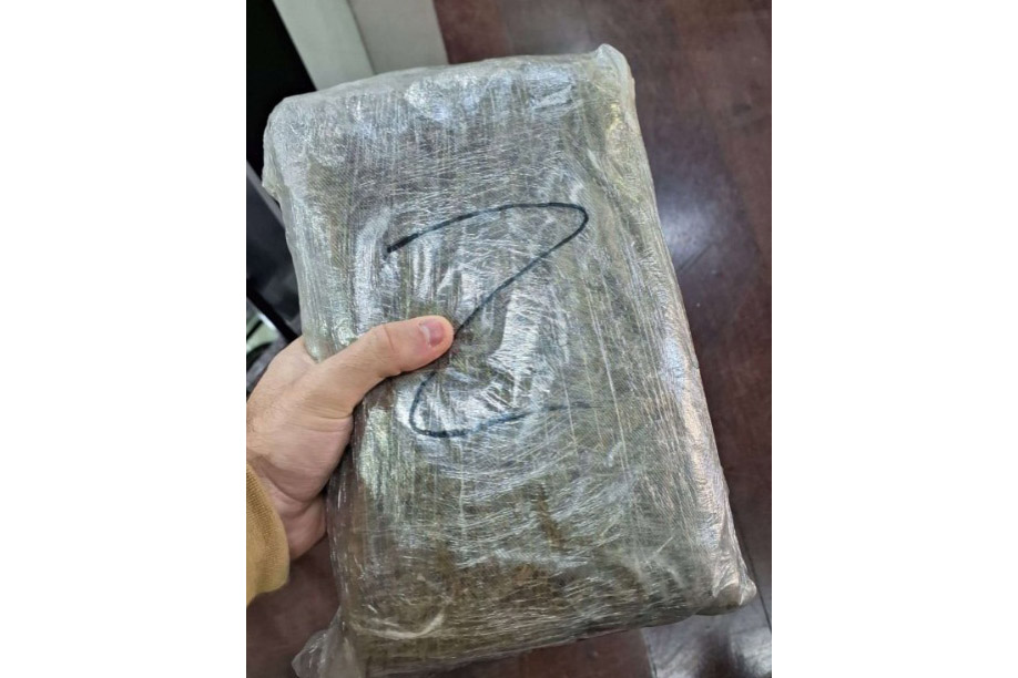 PCPR apreende 327 quilos de maconha gourmet em Curitiba e Colombo