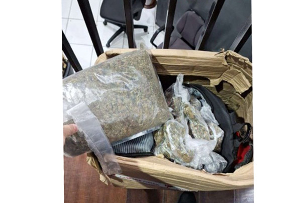 PCPR apreende 327 quilos de maconha gourmet em Curitiba e Colombo