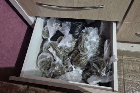 PCPR apreende 327 quilos de maconha gourmet em Curitiba e Colombo