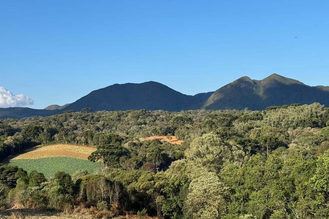 Turismo rural: São José dos Pinhais inaugura Circuito Roça Velha neste domingo
