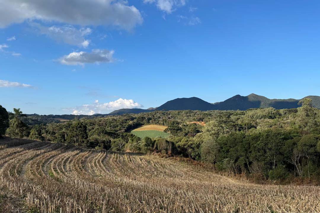 Turismo rural: São José dos Pinhais inaugura Circuito Roça Velha neste domingo
