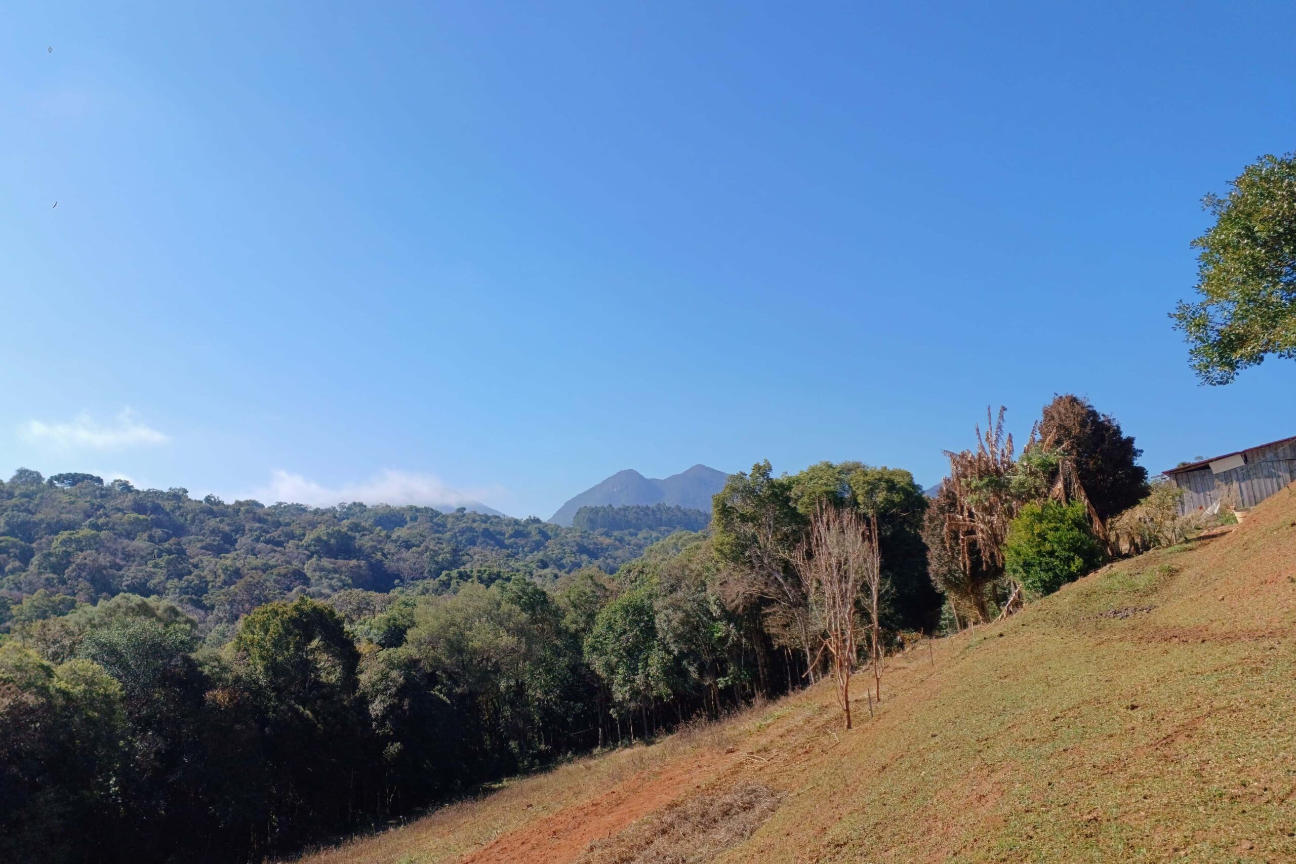 Turismo rural: São José dos Pinhais inaugura Circuito Roça Velha neste domingo