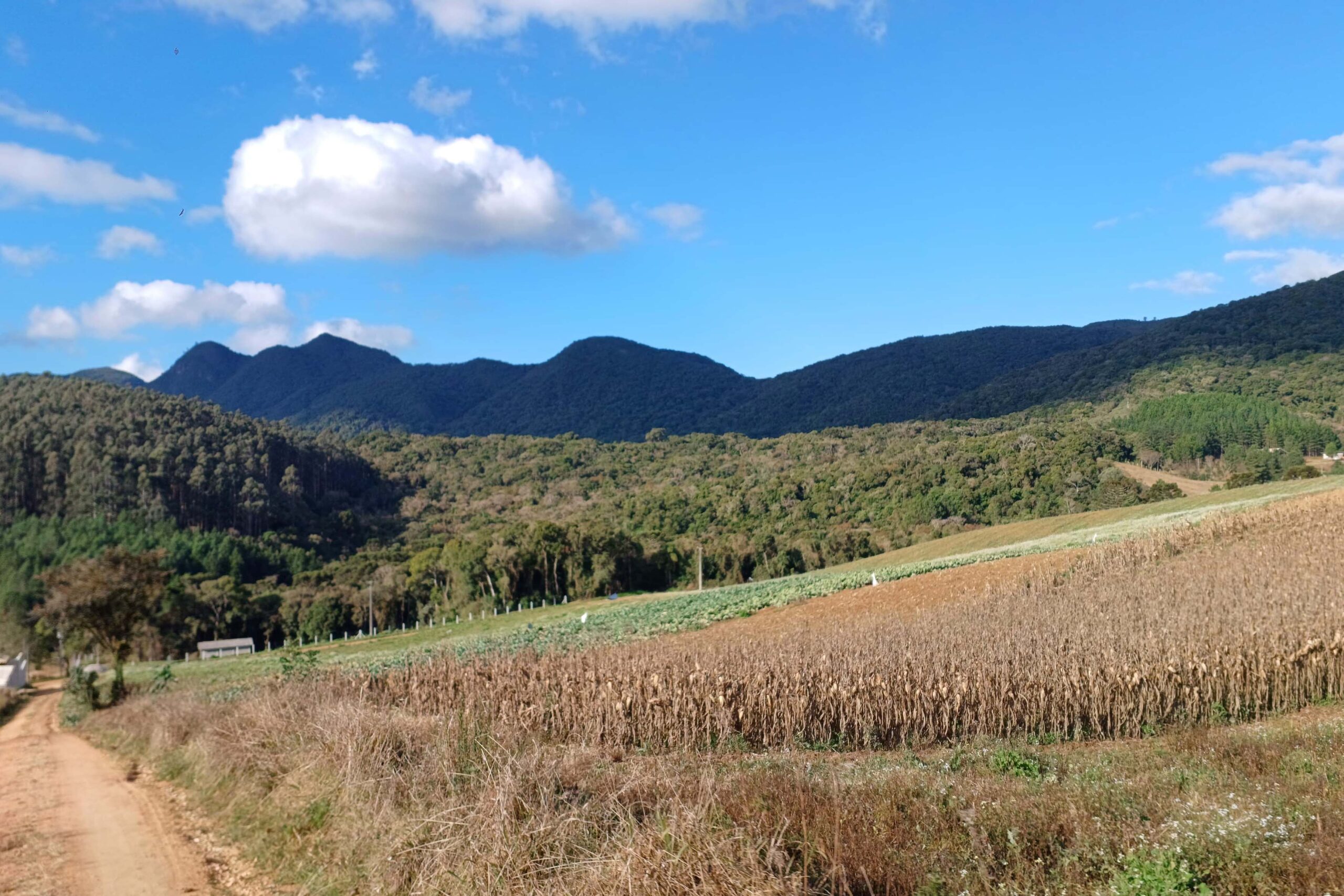 Turismo rural: São José dos Pinhais inaugura Circuito Roça Velha neste domingo
