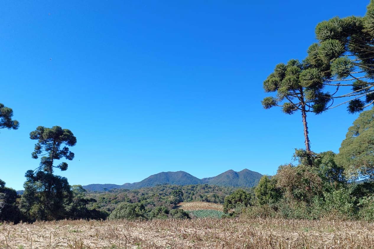Turismo rural: São José dos Pinhais inaugura Circuito Roça Velha neste domingo