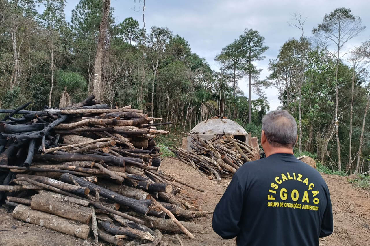 Estado vai investir R$ 24 milhões em veículos para fiscalização ambiental e projeto de observação de pássaros