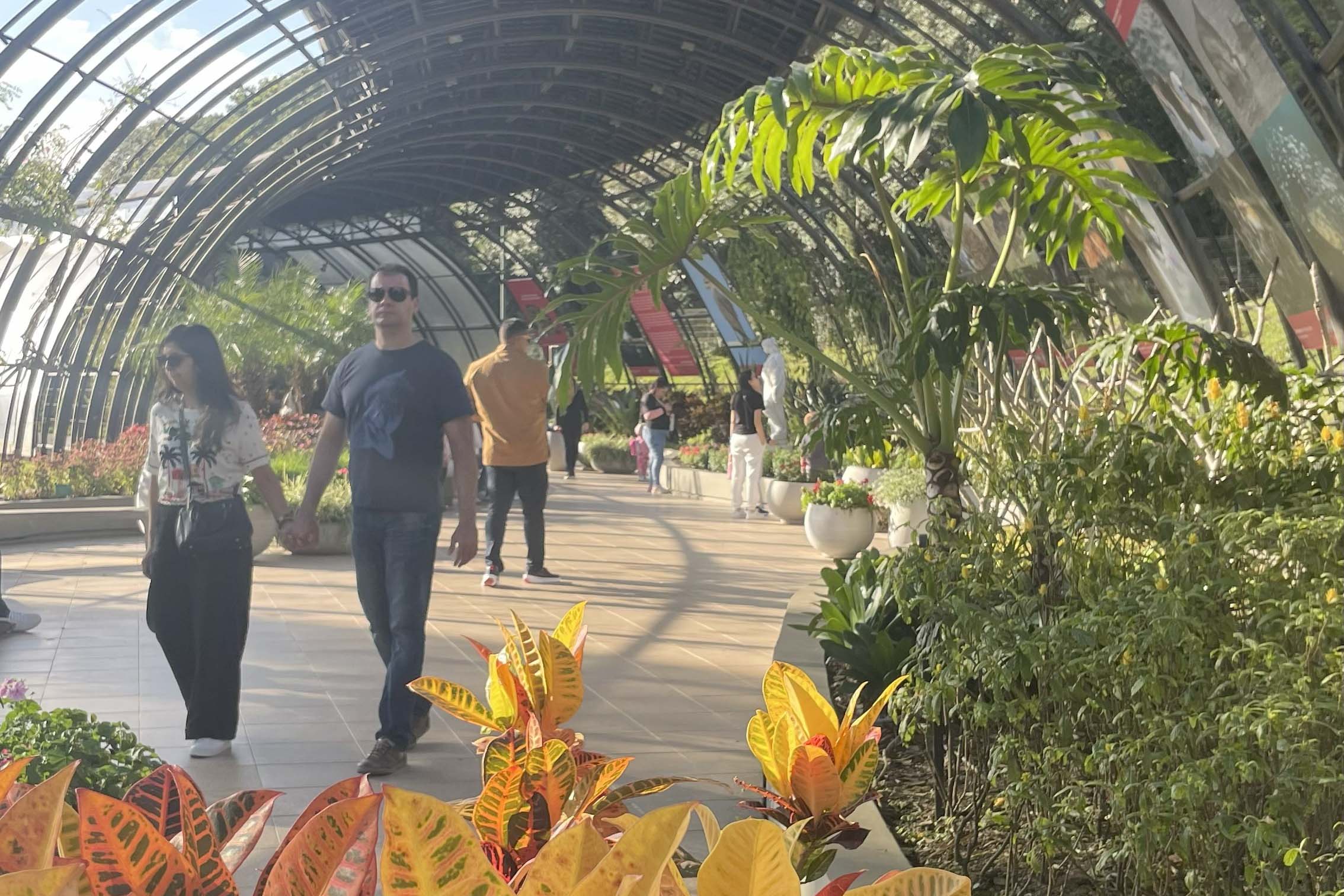 Exposição sobre fauna ameaçada atrai turistas ao Jardim Botânico de Curitiba