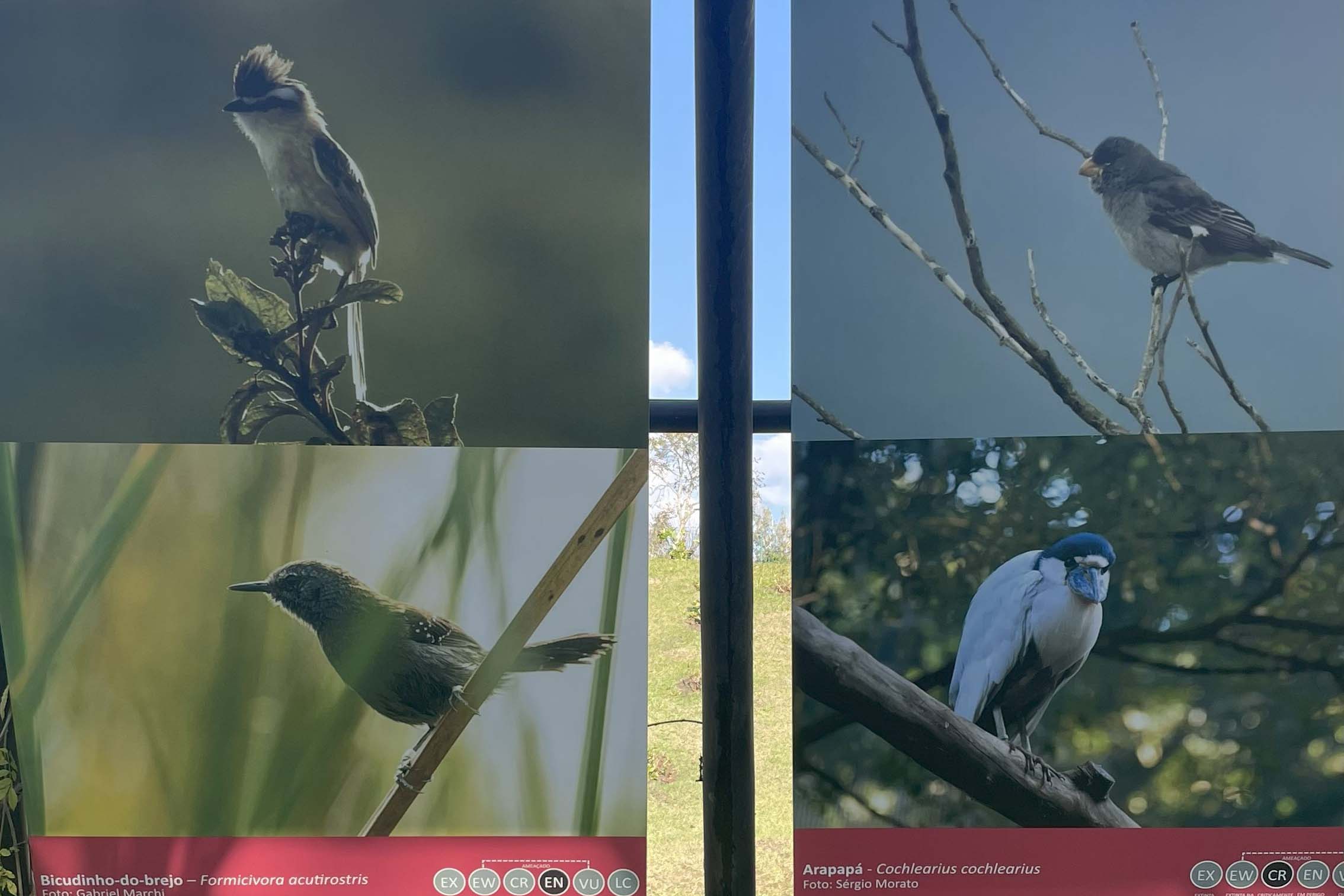 Exposição sobre fauna ameaçada atrai turistas ao Jardim Botânico de Curitiba