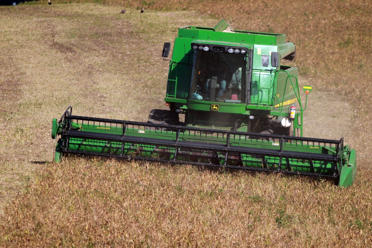 Paraná confirma novo recorde e liderança nacional na produção de feijão: 865 mil toneladas