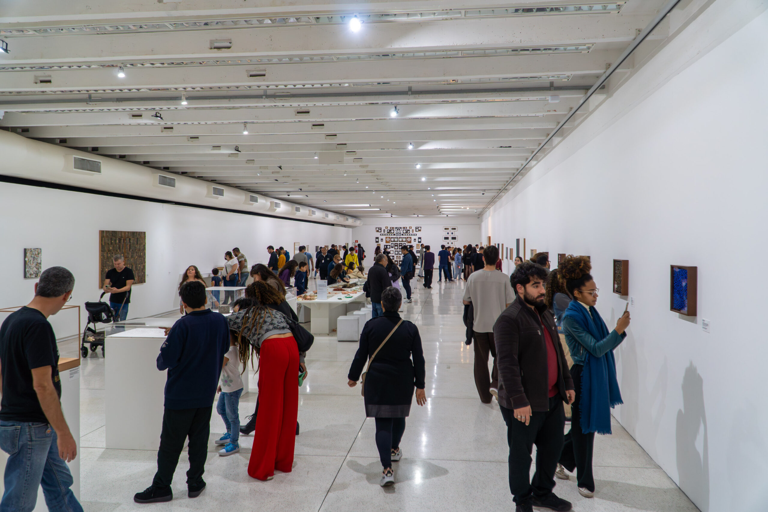 Mais tempo no MON: museu funcionará em horário estendido até sábado