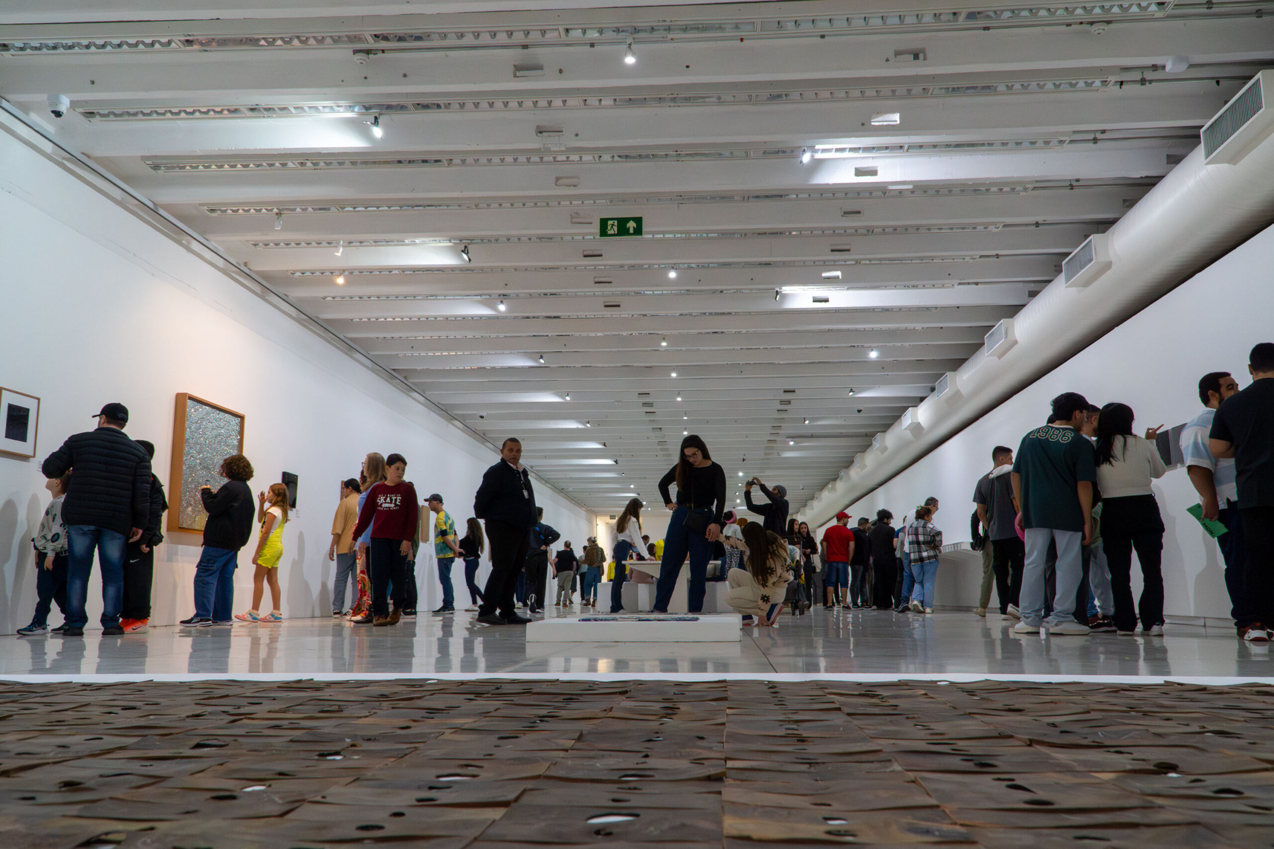 Mais tempo no MON: museu funcionará em horário estendido até sábado