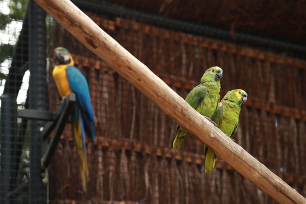 SUCESSO: Zoológico tem aumento de 55% de visitantes na temporada de férias
