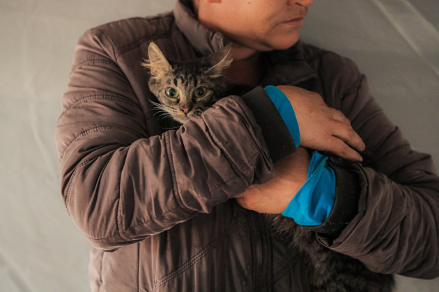 BEM-ESTAR ANIMAL | Prefeitura fará vacinação gratuita contra raiva em 50 animais nesta quinta-feira (24)