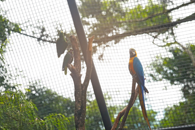 SUCESSO: Zoológico tem aumento de 55% de visitantes na temporada de férias