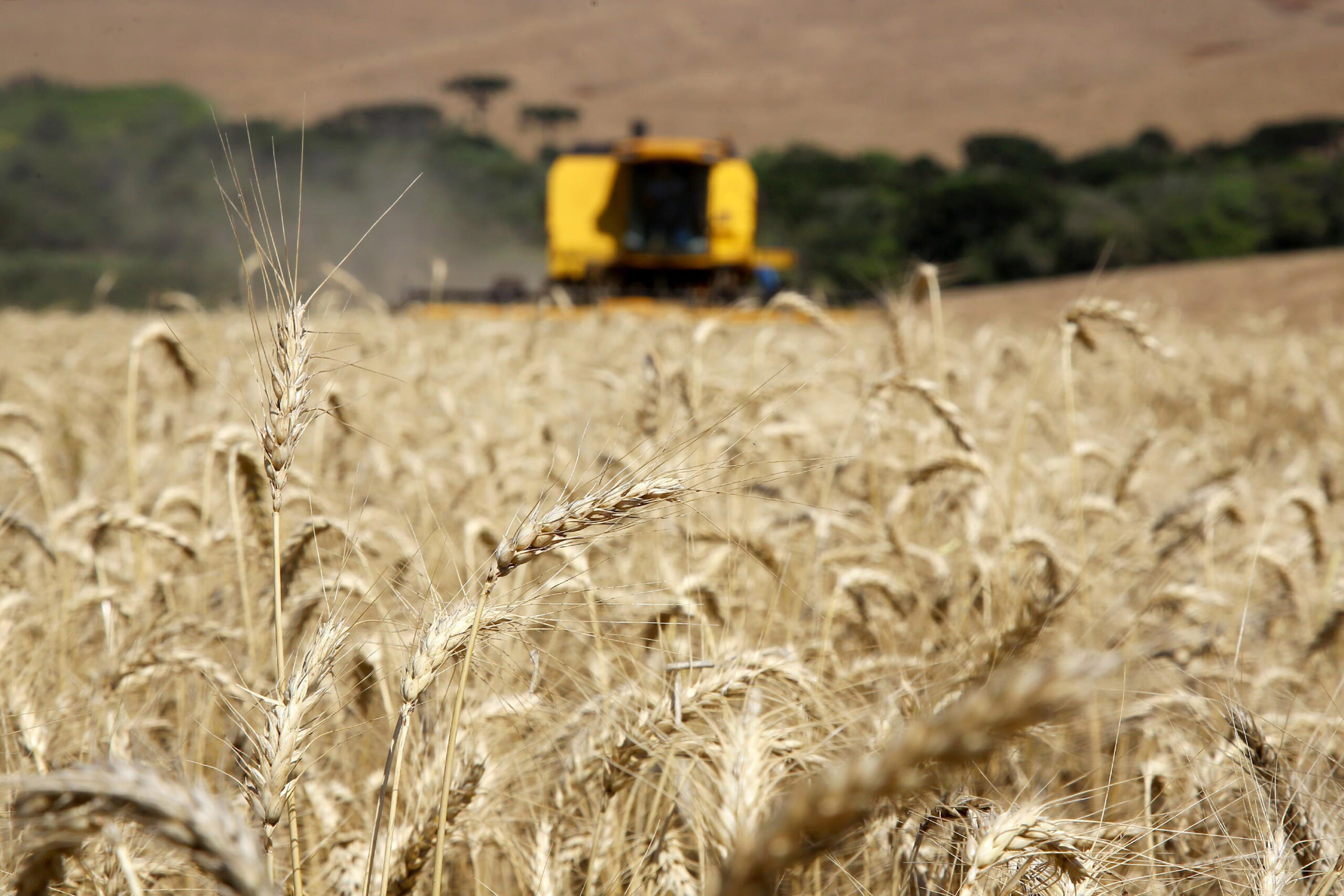 Adesão obrigatória à nota fiscal eletrônica do produtor rural é adiada para 2026