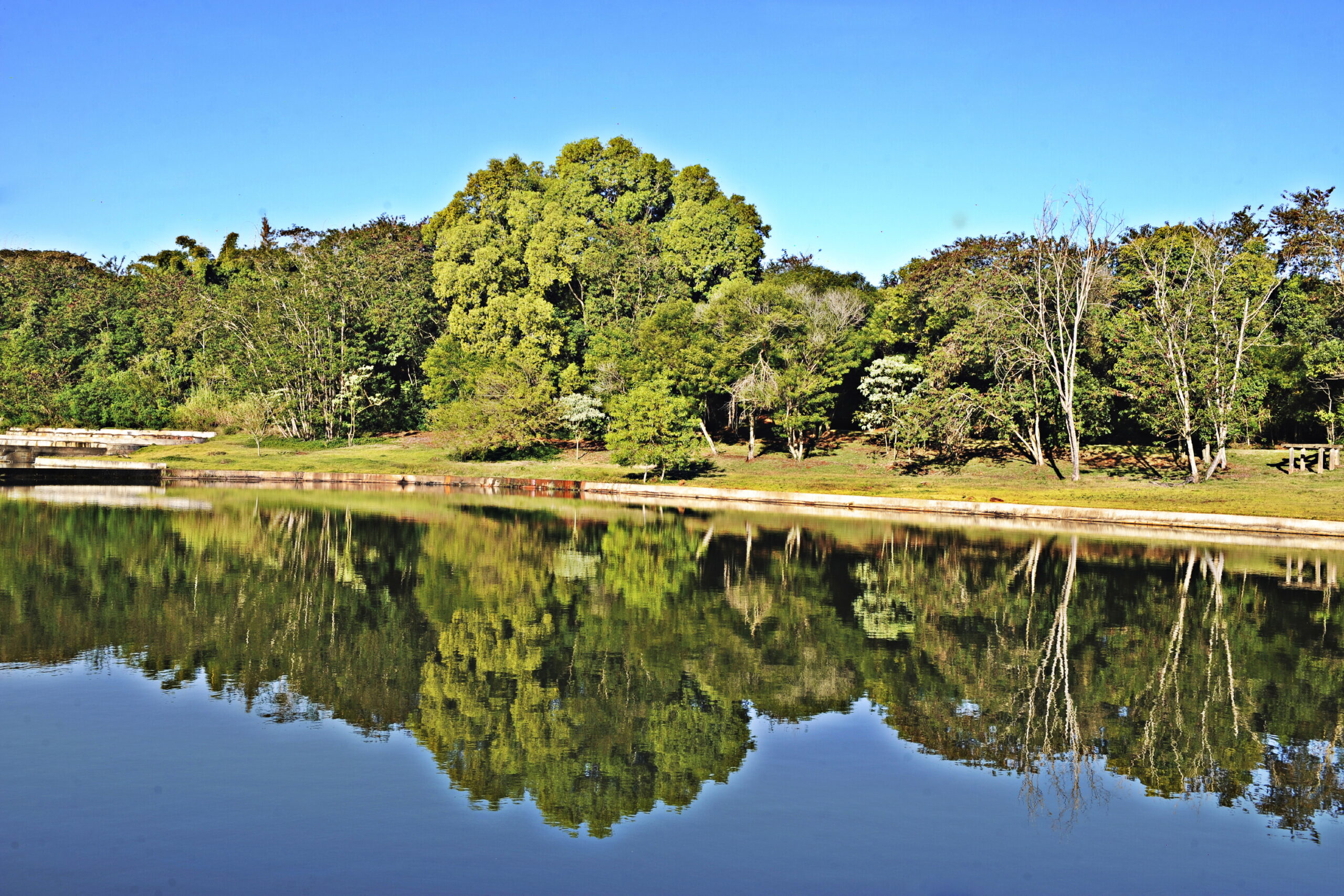 Jardim Botânico de Londrina será revitalizado pelo Governo do Estado