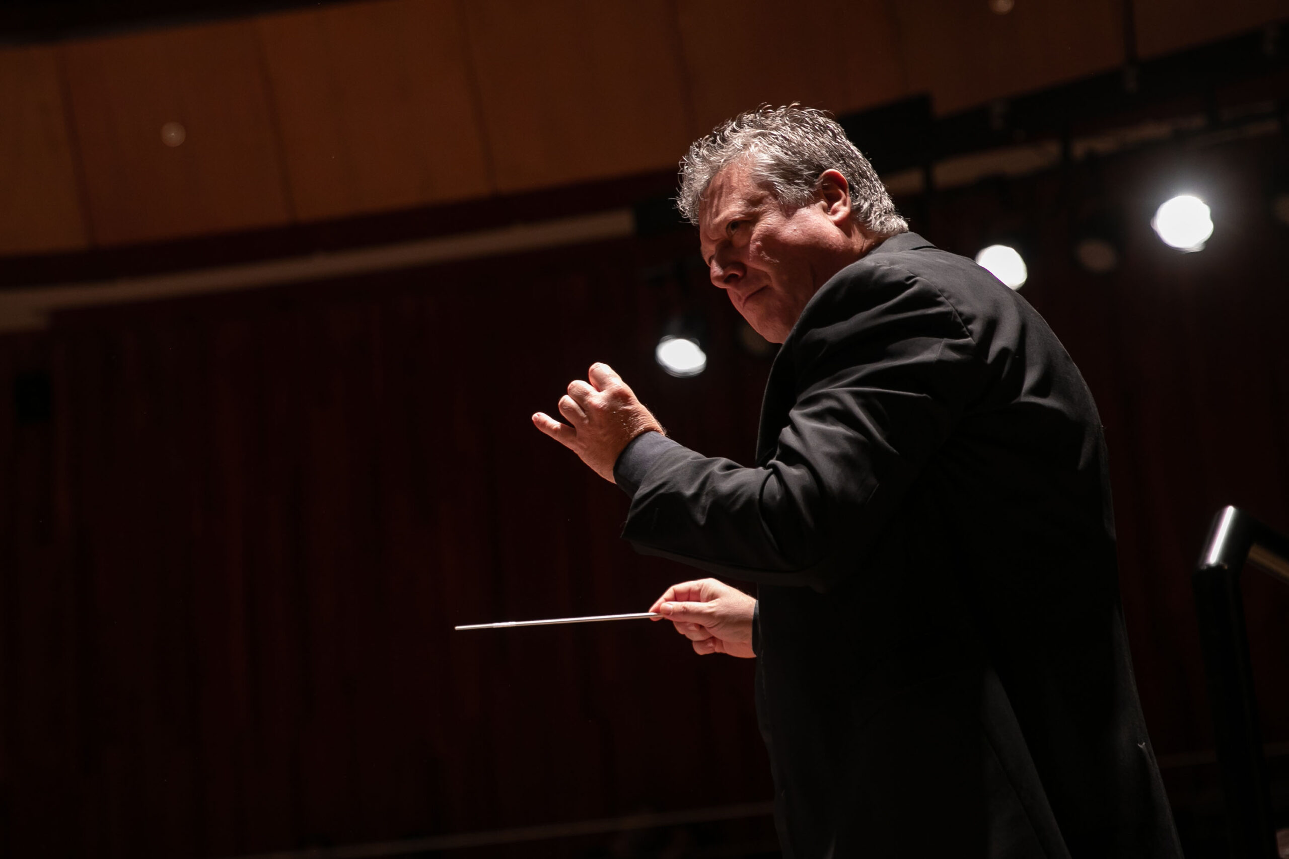 Estrelas internacionais: concerto da Orquestra Sinfônica do Paraná é homenagem a Richard Strauss