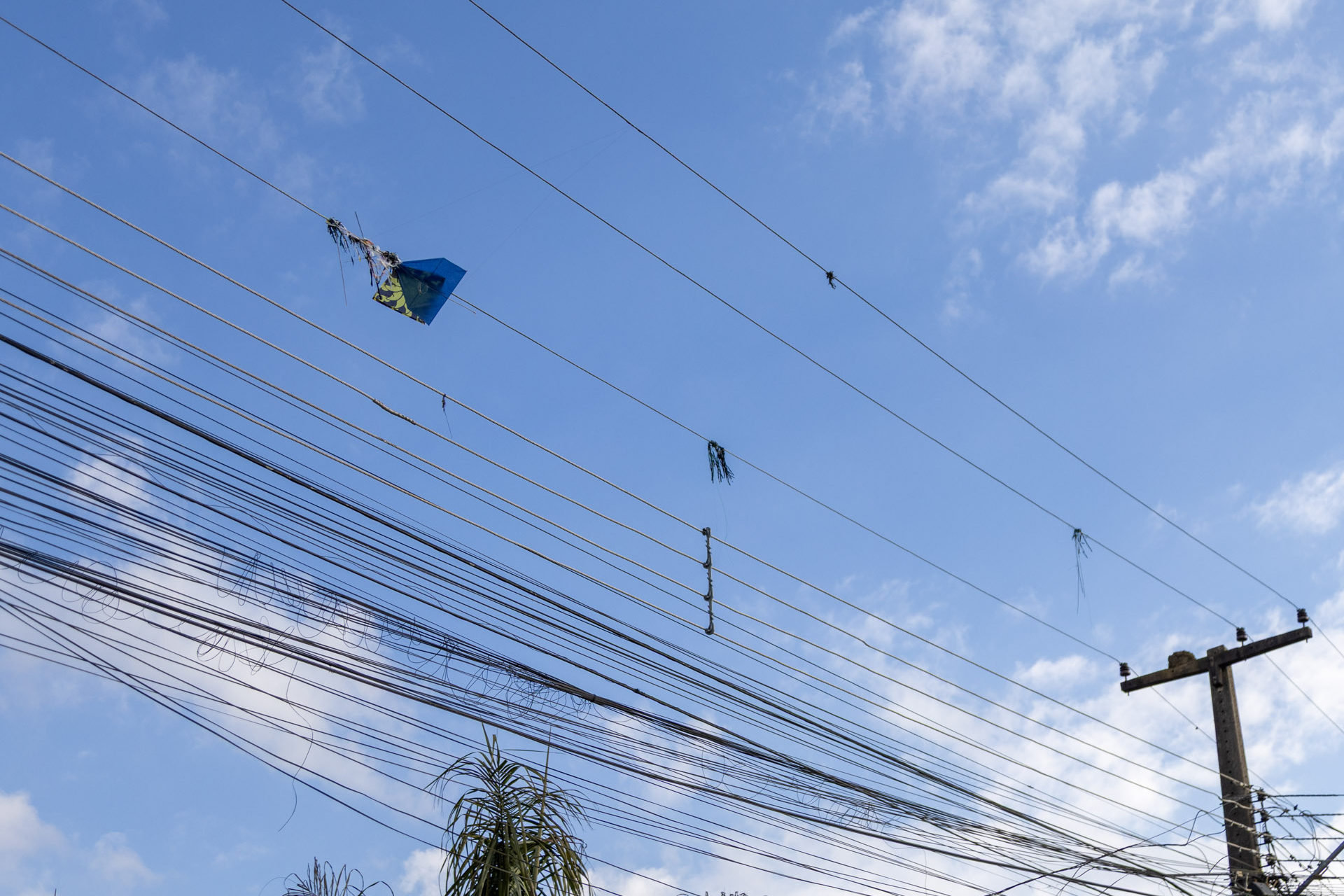Férias: Copel alerta redobrar cuidados para evitar acidentes com a rede elétrica